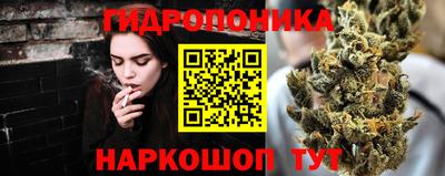 spice Рязань